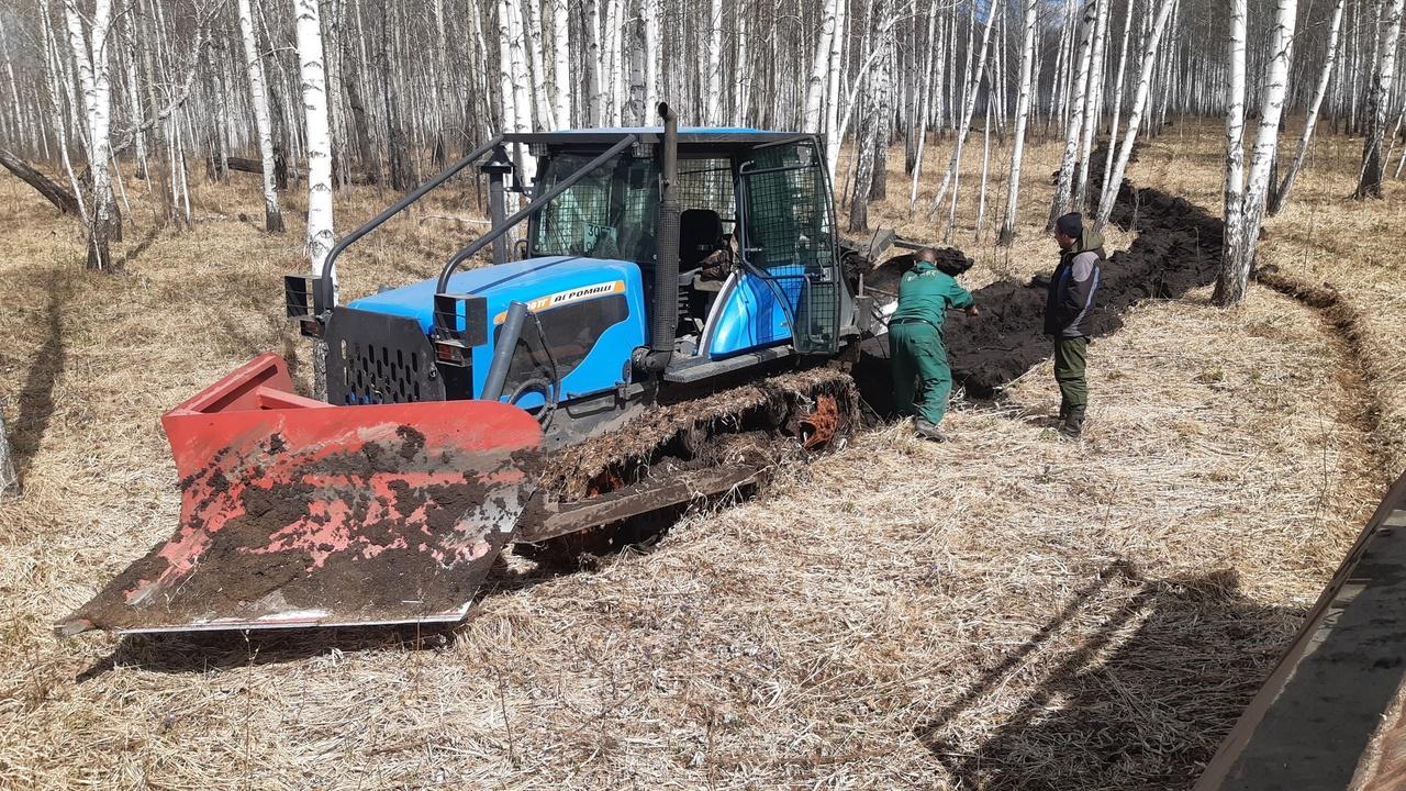 Фото В Новосибирской области пожары охватили более 1500 гектаров леса 2